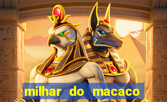 milhar do macaco que mais saem no jogo do bicho