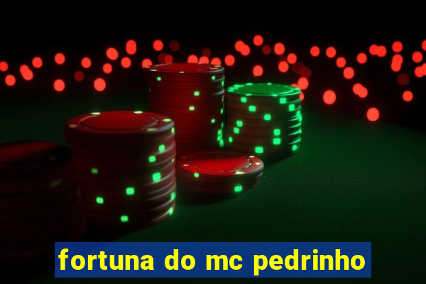 fortuna do mc pedrinho