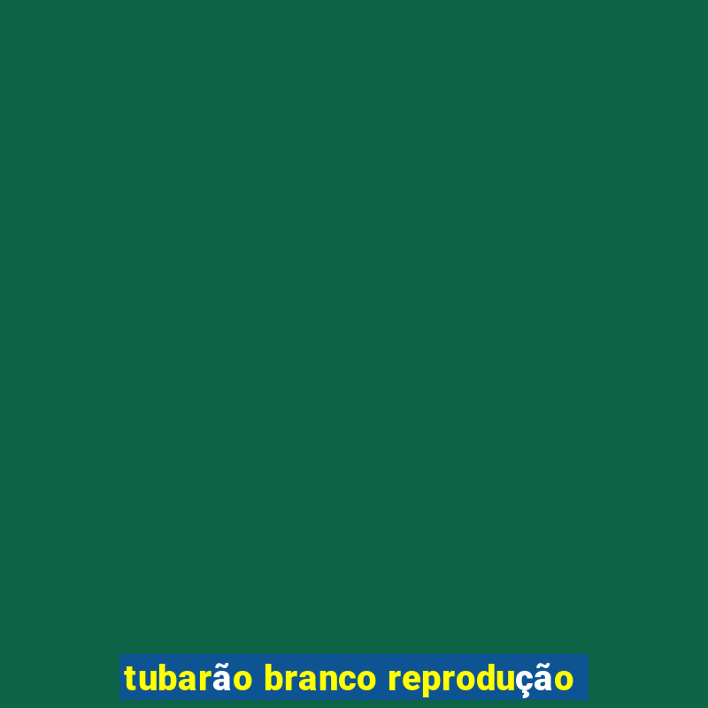 tubarão branco reprodução