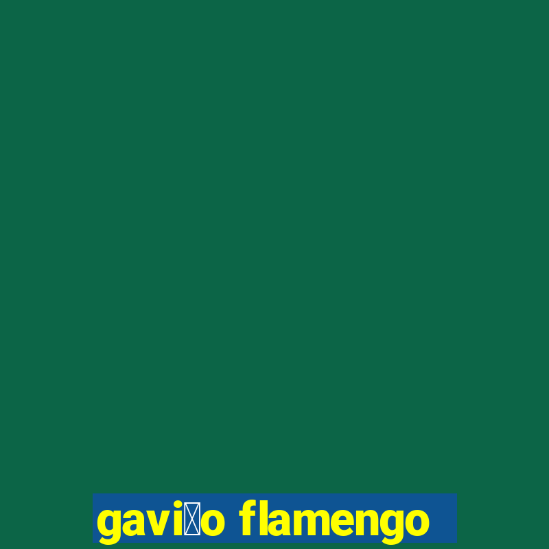 gavi茫o flamengo