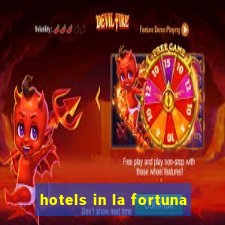 hotels in la fortuna