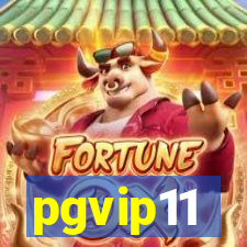 pgvip11