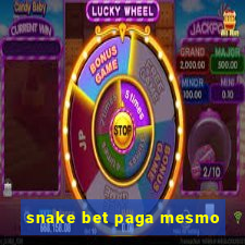 snake bet paga mesmo