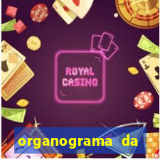 organograma da cacau show