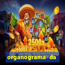 organograma da cacau show