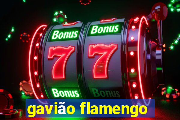 gavião flamengo