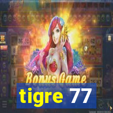 tigre 77