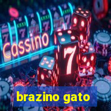 brazino gato