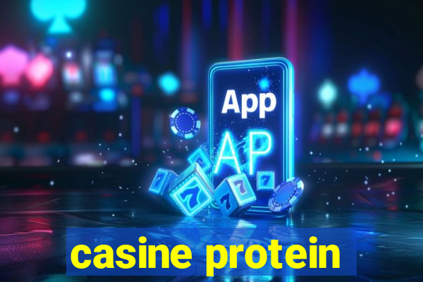 casine protein