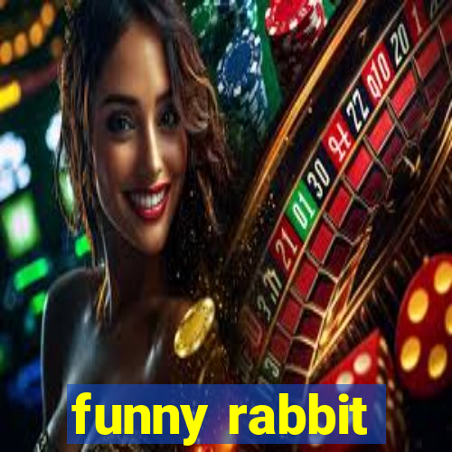 funny rabbit