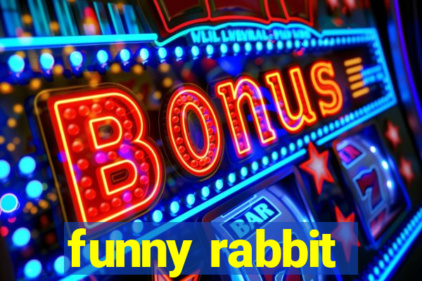 funny rabbit