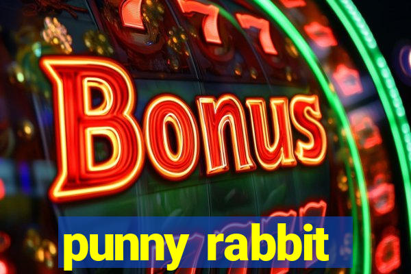 punny rabbit