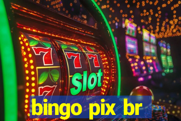 bingo pix br