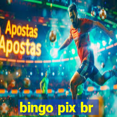 bingo pix br