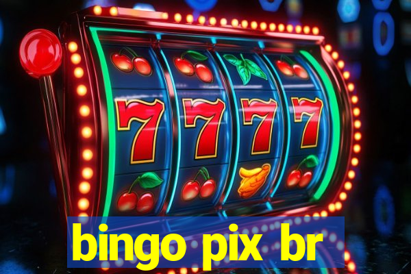 bingo pix br