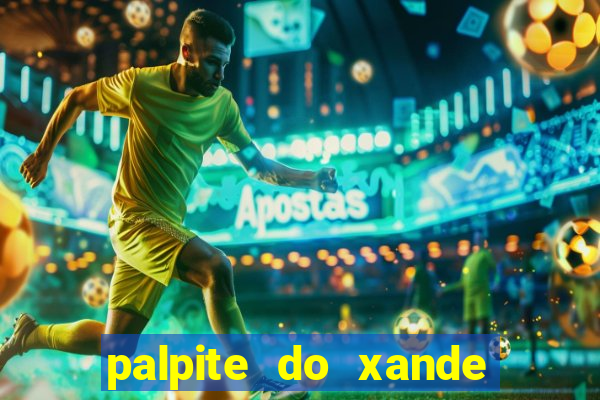 palpite do xande de hoje