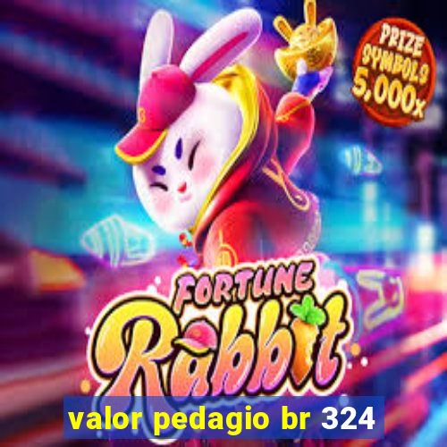 valor pedagio br 324