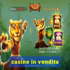 casine in vendita