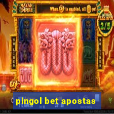 pingol bet apostas