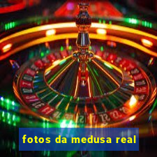 fotos da medusa real