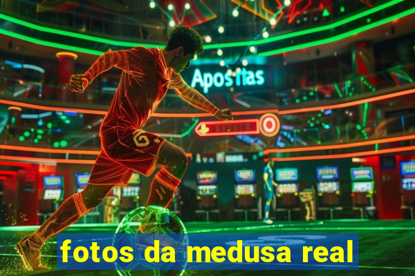 fotos da medusa real