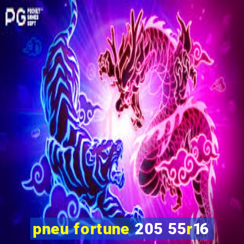 pneu fortune 205 55r16