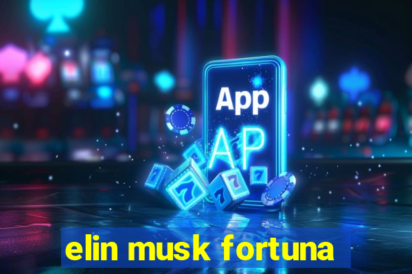 elin musk fortuna