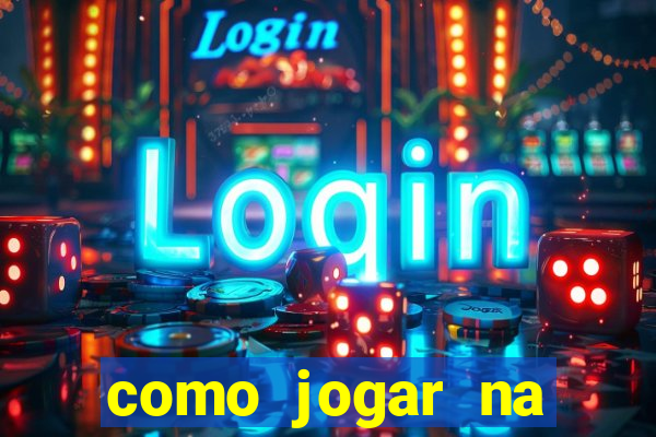 como jogar na lotinha do jogo do bicho