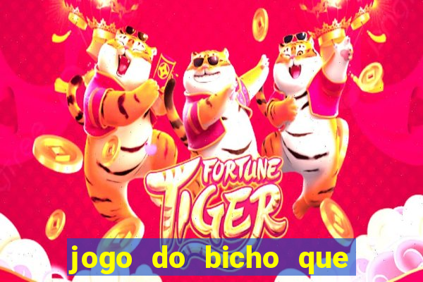 jogo do bicho que da dinheiro