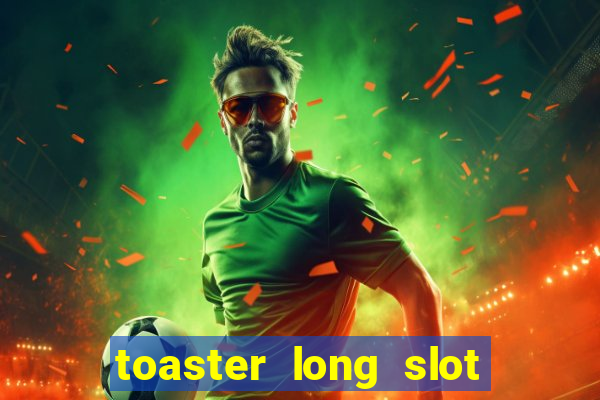 toaster long slot 2 slice