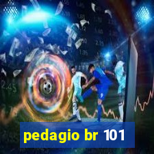 pedagio br 101