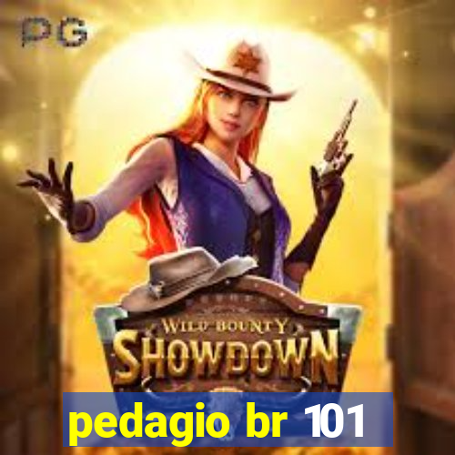 pedagio br 101