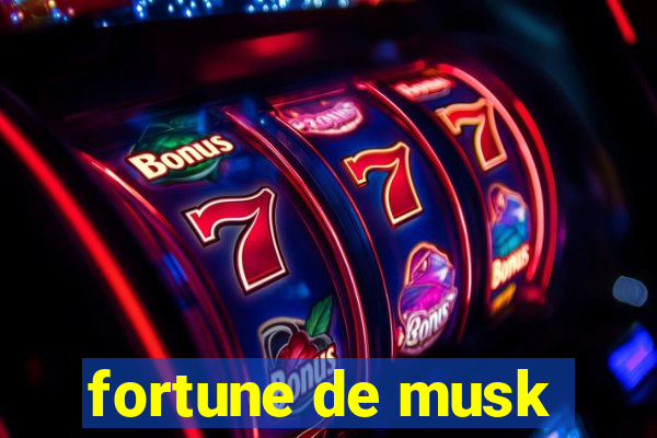 fortune de musk