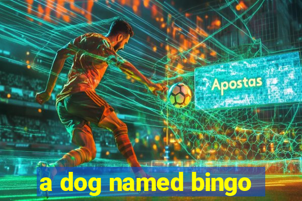 a dog named bingo