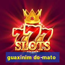 guaxinim do-mato