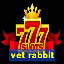 vet rabbit