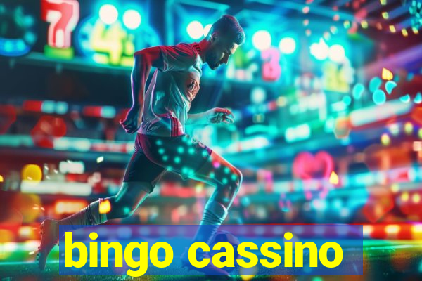 bingo cassino