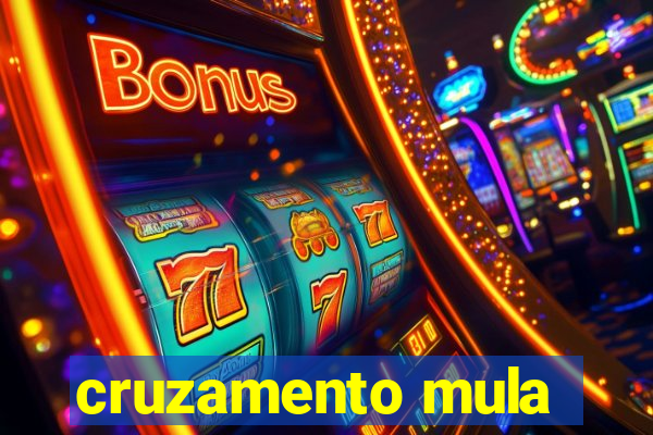 cruzamento mula