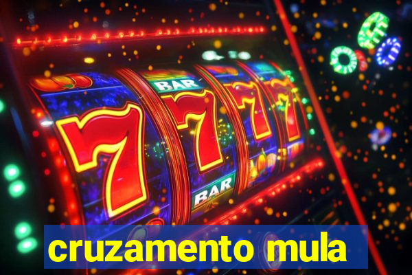 cruzamento mula