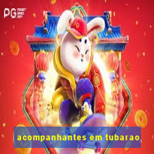 acompanhantes em tubarao