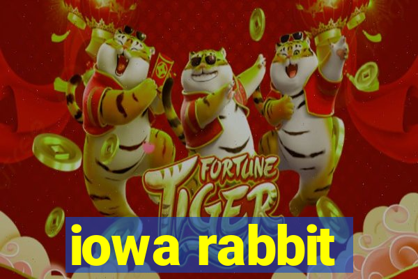 iowa rabbit