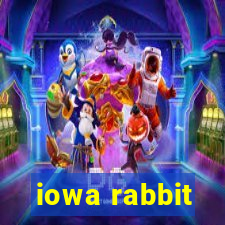 iowa rabbit