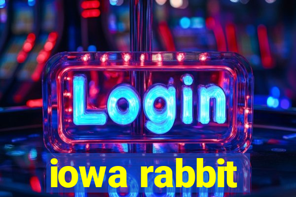 iowa rabbit