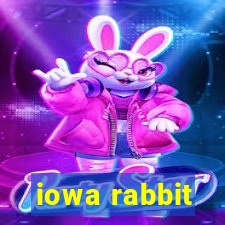 iowa rabbit