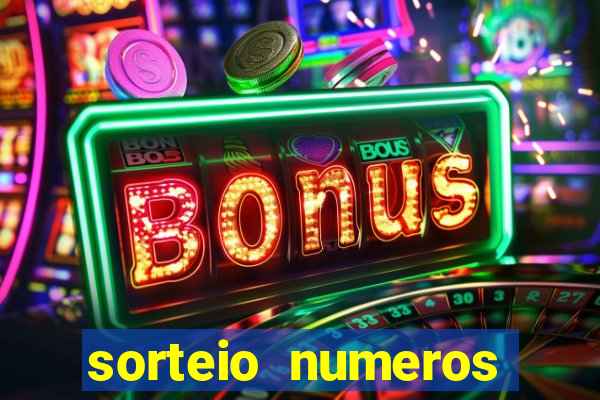 sorteio numeros bingo online