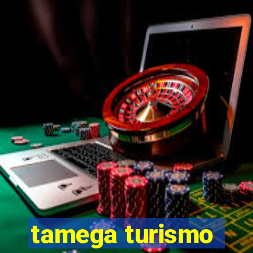 tamega turismo