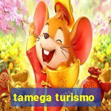 tamega turismo