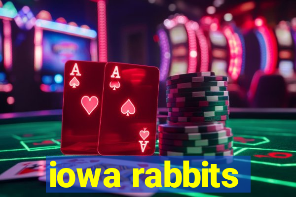 iowa rabbits