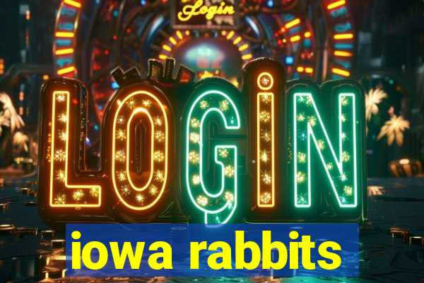 iowa rabbits