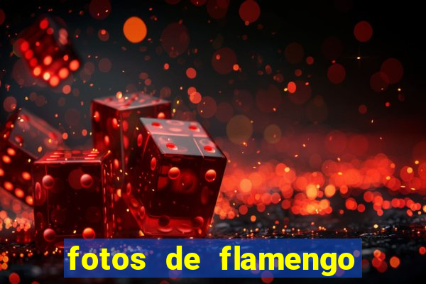 fotos de flamengo para perfil